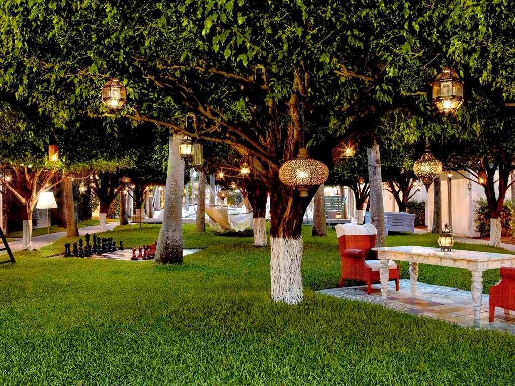 Delano South Beach Miami Beach Tiện nghi bức ảnh