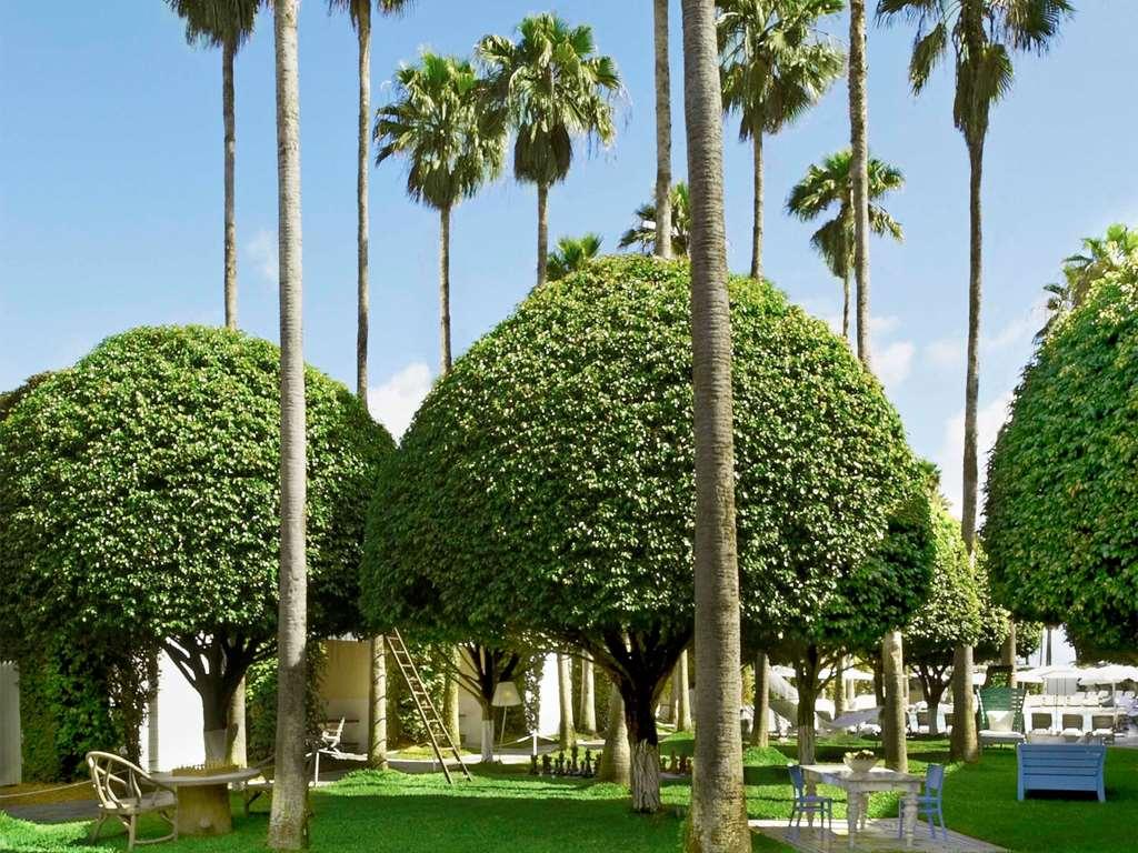 Delano South Beach Miami Beach Tiện nghi bức ảnh